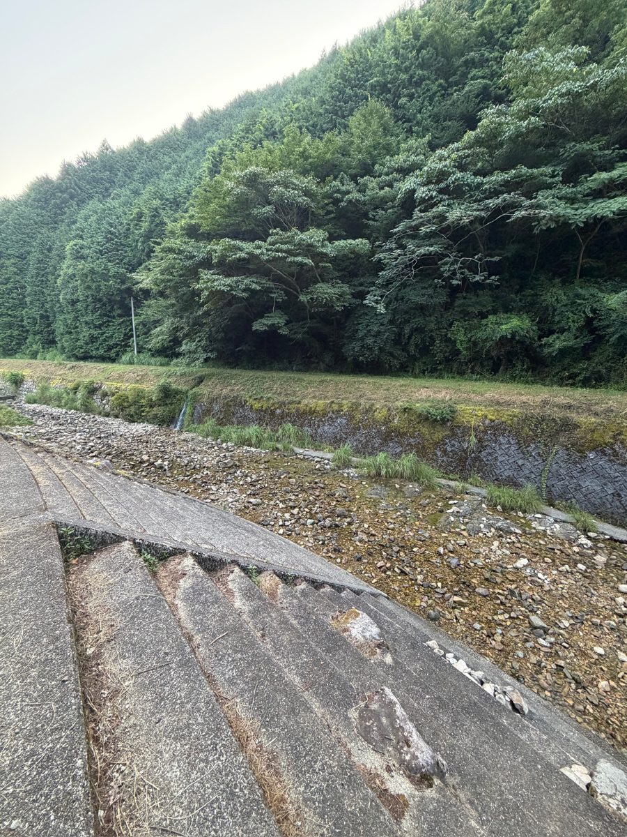杉原川の浅瀬