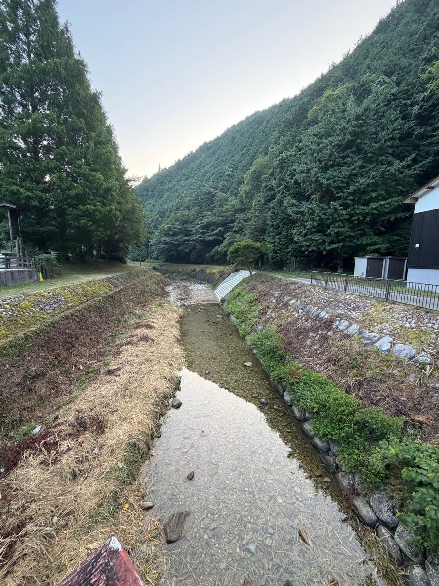 杉原川の流れ