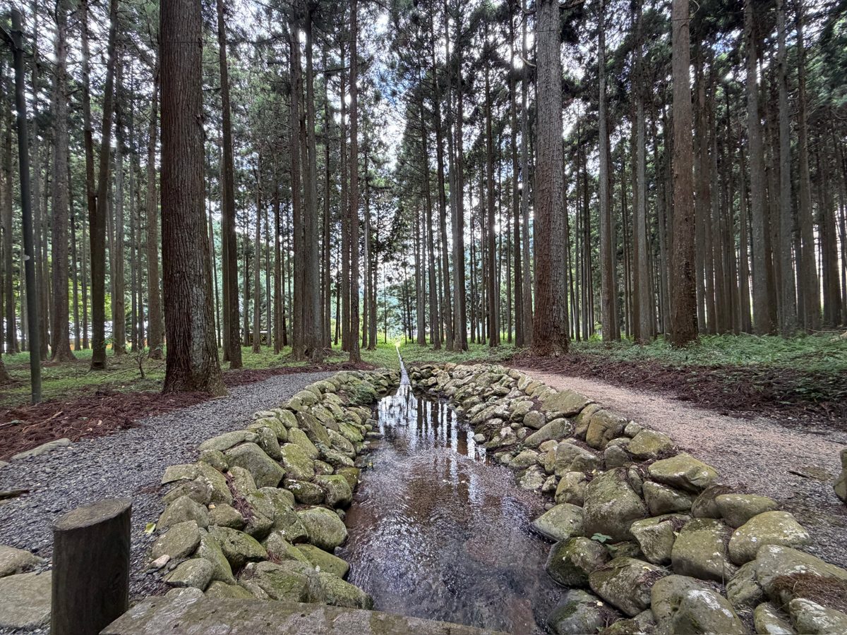 青玉神社の境内を流れる小川