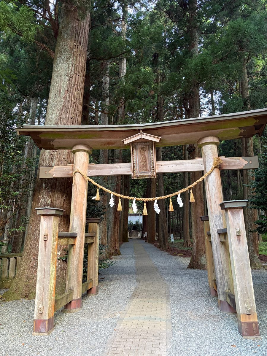 青玉神社の鳥居