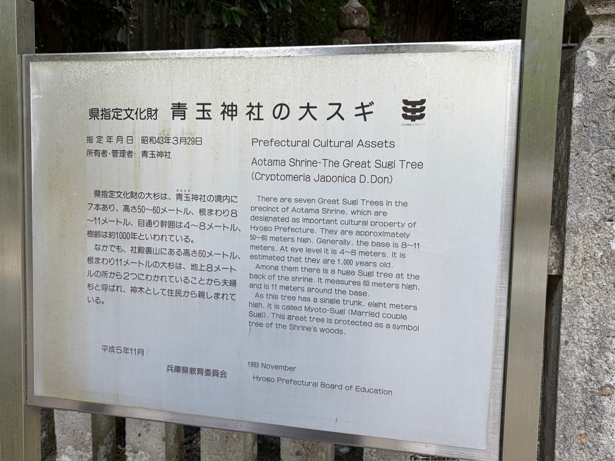 青玉神社の大スギの説明板（兵庫県教育委員会）